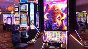 Suasana live casino dengan dealer profesional di hujantogel